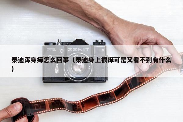 泰迪浑身痒怎么回事（泰迪身上很痒可是又看不到有什么）