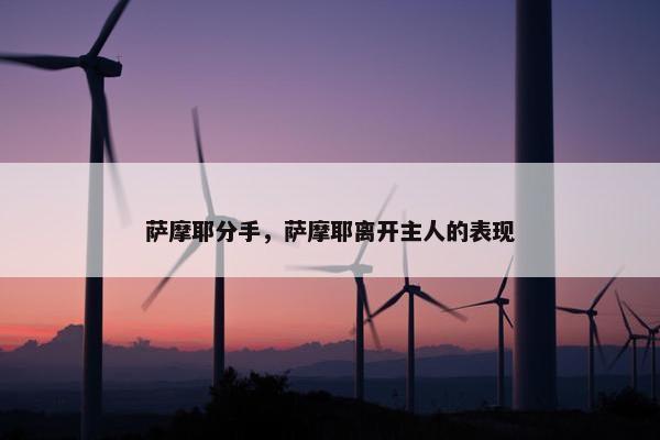 萨摩耶分手，萨摩耶离开主人的表现