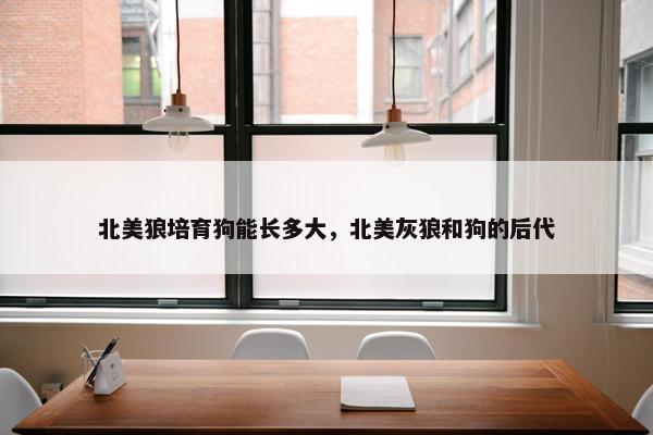 北美狼培育狗能长多大，北美灰狼和狗的后代