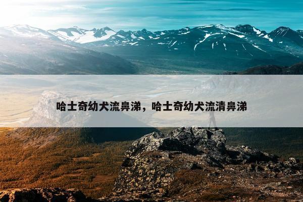 哈士奇幼犬流鼻涕，哈士奇幼犬流清鼻涕