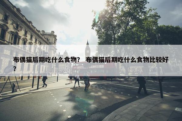 布偶猫后期吃什么食物？ 布偶猫后期吃什么食物比较好？