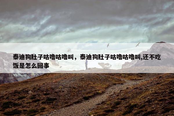 泰迪狗肚子咕噜咕噜叫，泰迪狗肚子咕噜咕噜叫,还不吃饭是怎么回事