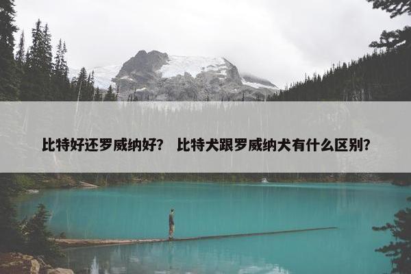 比特好还罗威纳好？ 比特犬跟罗威纳犬有什么区别？
