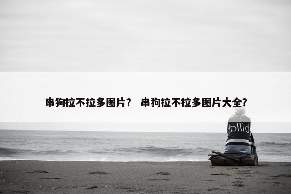 串狗拉不拉多图片？ 串狗拉不拉多图片大全？