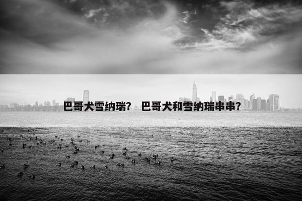 巴哥犬雪纳瑞？ 巴哥犬和雪纳瑞串串？