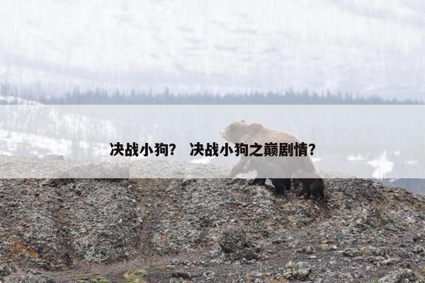 决战小狗？ 决战小狗之巅剧情？