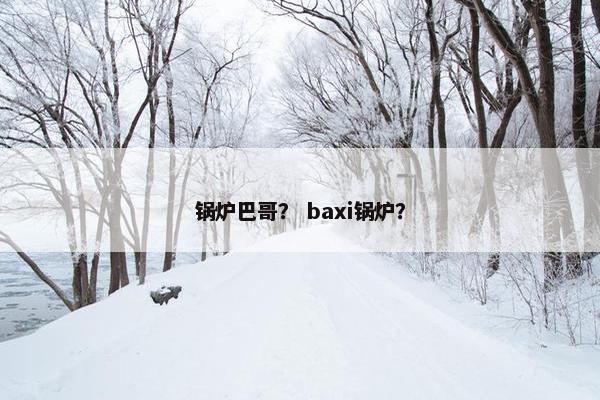 锅炉巴哥？ baxi锅炉？