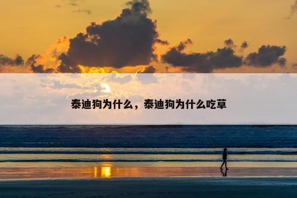 泰迪狗为什么，泰迪狗为什么吃草