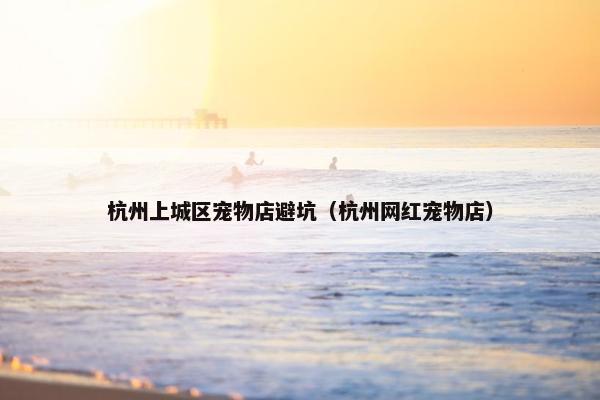 杭州上城区宠物店避坑（杭州网红宠物店）