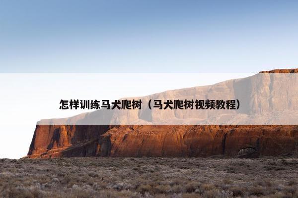 怎样训练马犬爬树（马犬爬树视频教程）