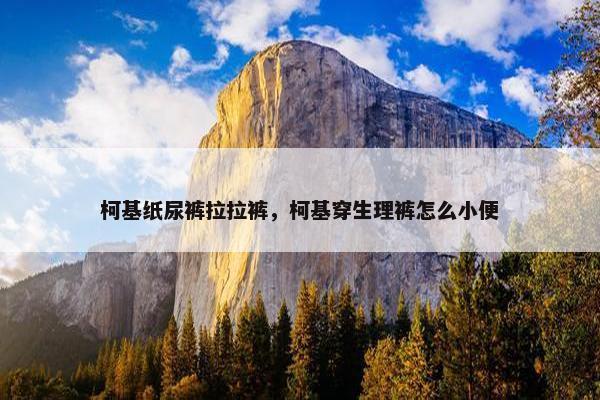 柯基纸尿裤拉拉裤，柯基穿生理裤怎么小便