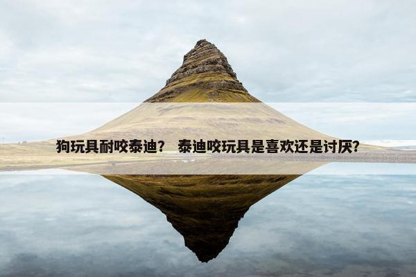 狗玩具耐咬泰迪？ 泰迪咬玩具是喜欢还是讨厌？