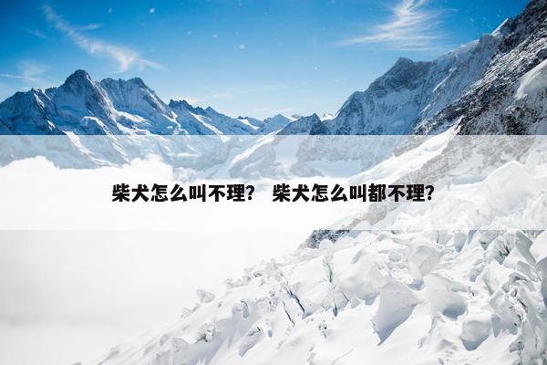 柴犬怎么叫不理？ 柴犬怎么叫都不理？