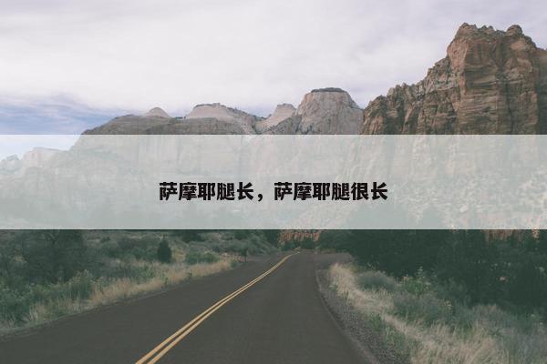 萨摩耶腿长，萨摩耶腿很长