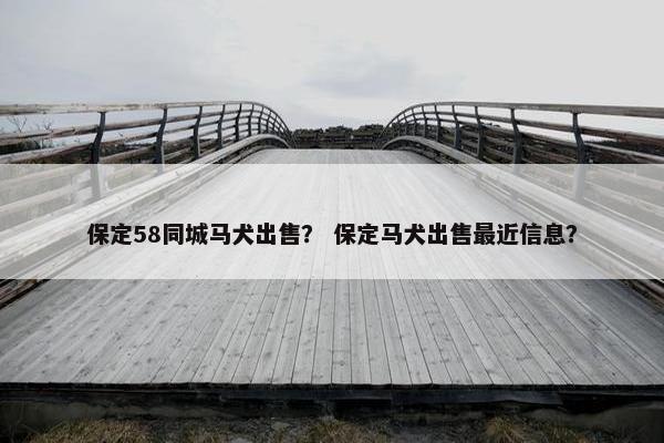 保定58同城马犬出售？ 保定马犬出售最近信息？