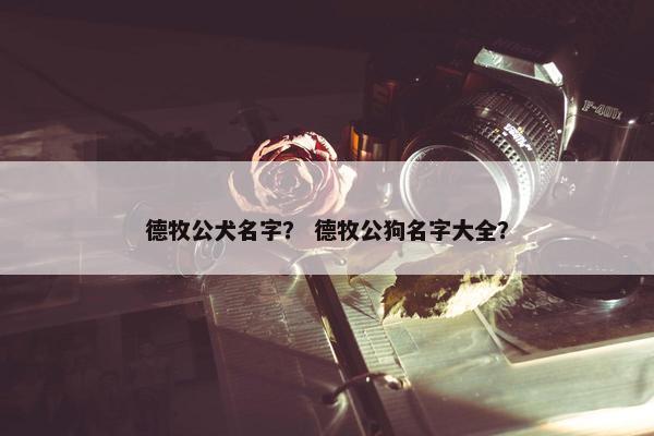 德牧公犬名字？ 德牧公狗名字大全？