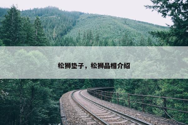 松狮垫子，松狮品相介绍