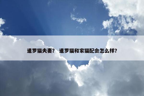 暹罗猫夫妻？ 暹罗猫和家猫配会怎么样？