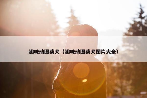 趣味动图柴犬（趣味动图柴犬图片大全）