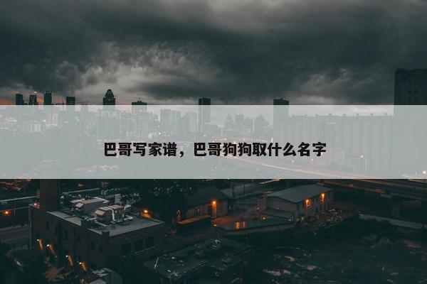 巴哥写家谱，巴哥狗狗取什么名字