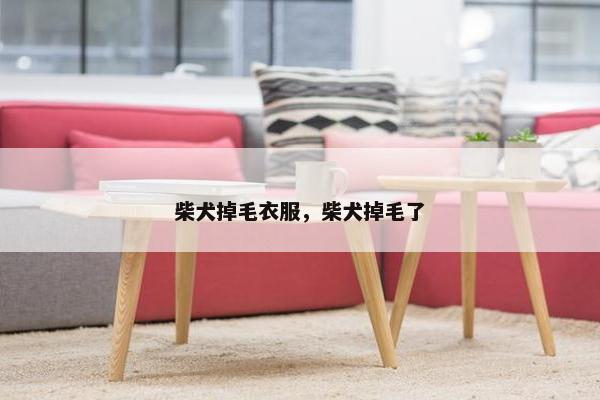 柴犬掉毛衣服，柴犬掉毛了