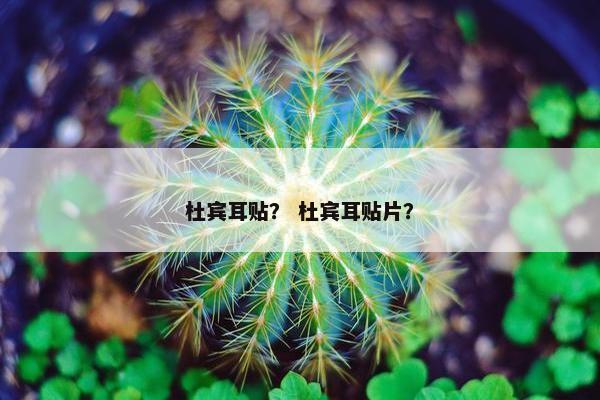 杜宾耳贴？ 杜宾耳贴片？