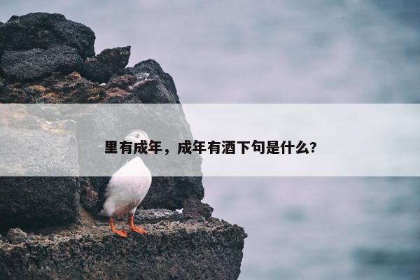 里有成年，成年有酒下句是什么?