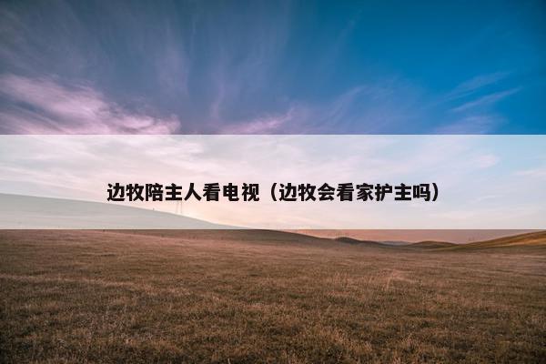 边牧陪主人看电视（边牧会看家护主吗）