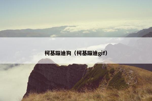柯基蹦迪狗（柯基蹦迪gif）