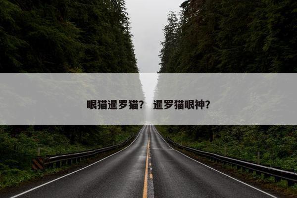 眼猫暹罗猫？ 暹罗猫眼神？