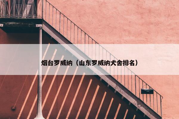 烟台罗威纳（山东罗威纳犬舍排名）