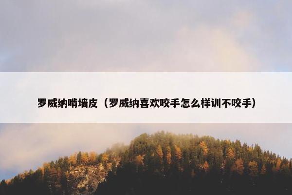 罗威纳啃墙皮（罗威纳喜欢咬手怎么样训不咬手）