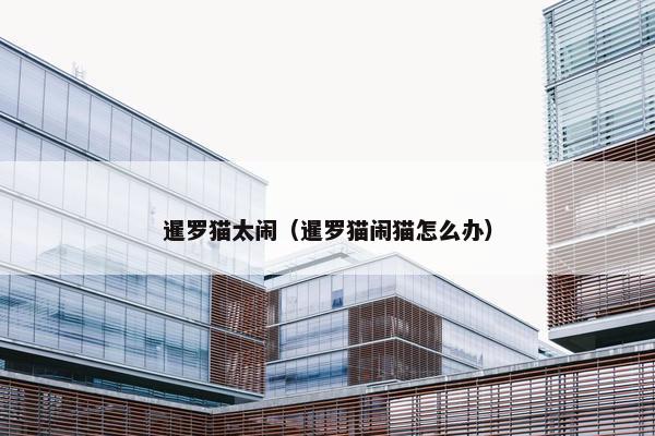 暹罗猫太闹（暹罗猫闹猫怎么办）