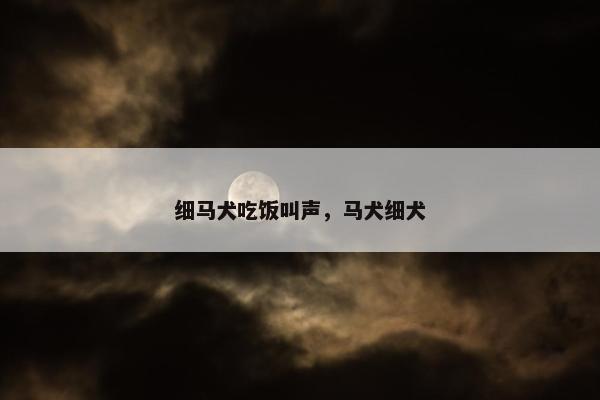 细马犬吃饭叫声，马犬细犬