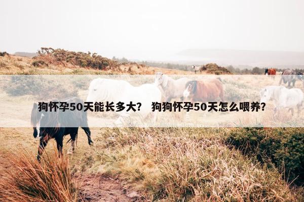 狗怀孕50天能长多大？ 狗狗怀孕50天怎么喂养？