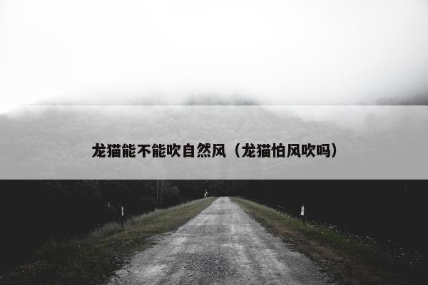 龙猫能不能吹自然风（龙猫怕风吹吗）