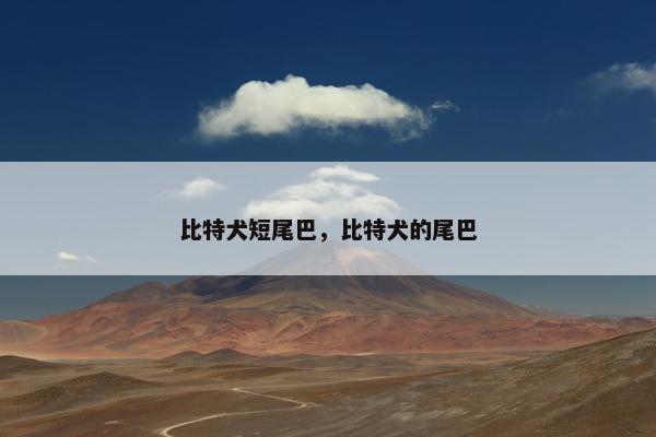 比特犬短尾巴，比特犬的尾巴