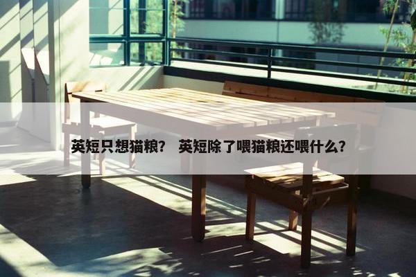 英短只想猫粮？ 英短除了喂猫粮还喂什么？