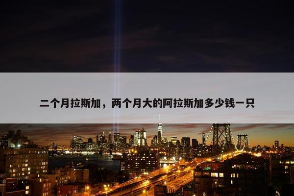 二个月拉斯加，两个月大的阿拉斯加多少钱一只