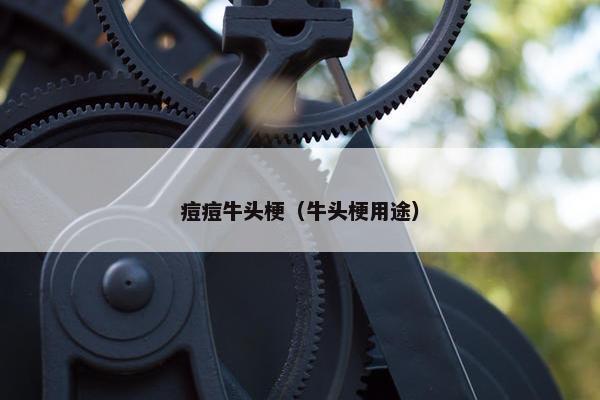 痘痘牛头梗（牛头梗用途）