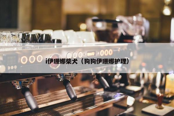 i伊珊娜柴犬（狗狗伊珊娜护理）