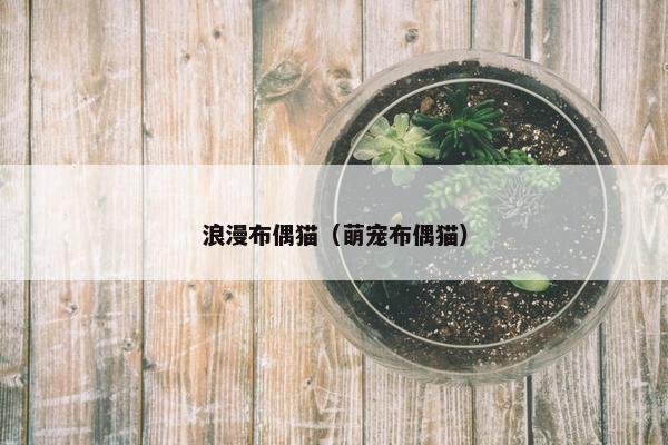 浪漫布偶猫（萌宠布偶猫）