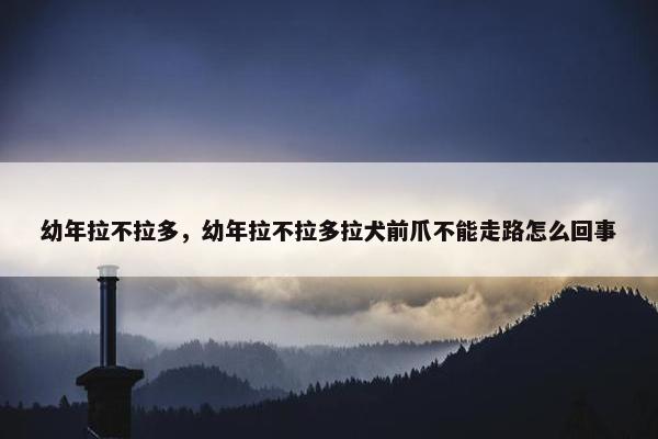 幼年拉不拉多，幼年拉不拉多拉犬前爪不能走路怎么回事