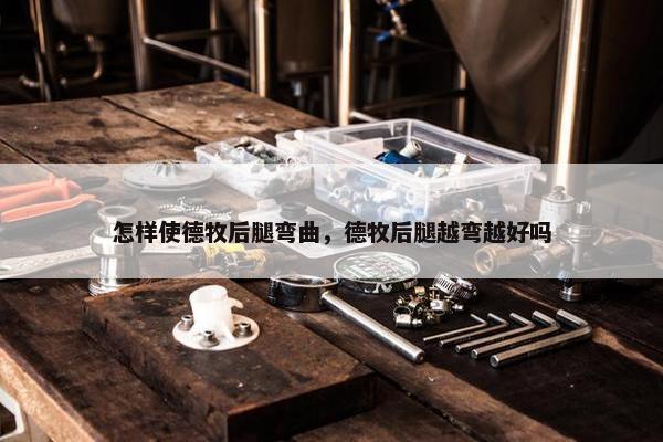 怎样使德牧后腿弯曲，德牧后腿越弯越好吗