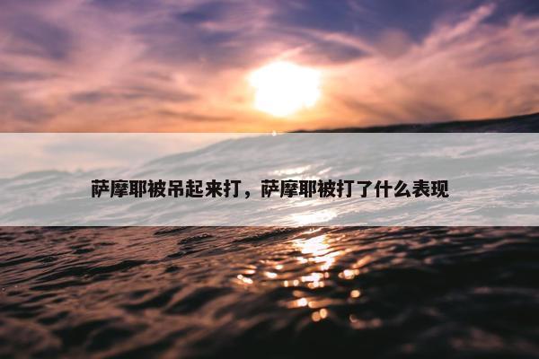 萨摩耶被吊起来打，萨摩耶被打了什么表现