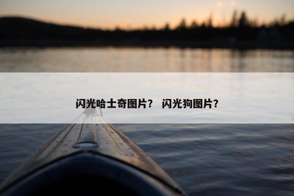 闪光哈士奇图片？ 闪光狗图片？