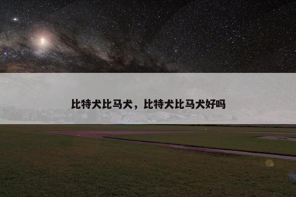 比特犬比马犬，比特犬比马犬好吗