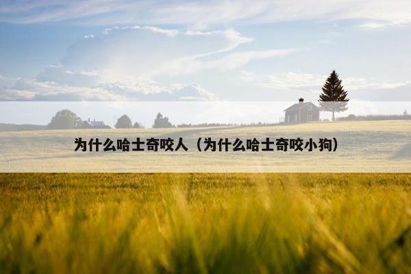 为什么哈士奇咬人（为什么哈士奇咬小狗）