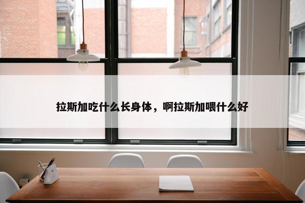 拉斯加吃什么长身体，啊拉斯加喂什么好