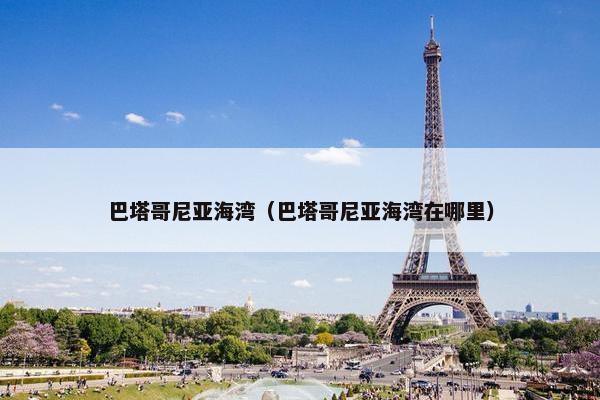巴塔哥尼亚海湾（巴塔哥尼亚海湾在哪里）